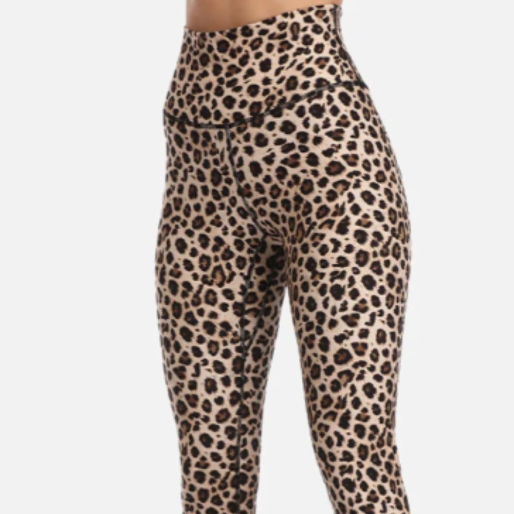 Colorfulkoala High Waisted Leggings Leopard Print